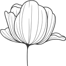flower-illustration